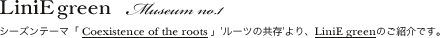 LiniE green Museum no.1
